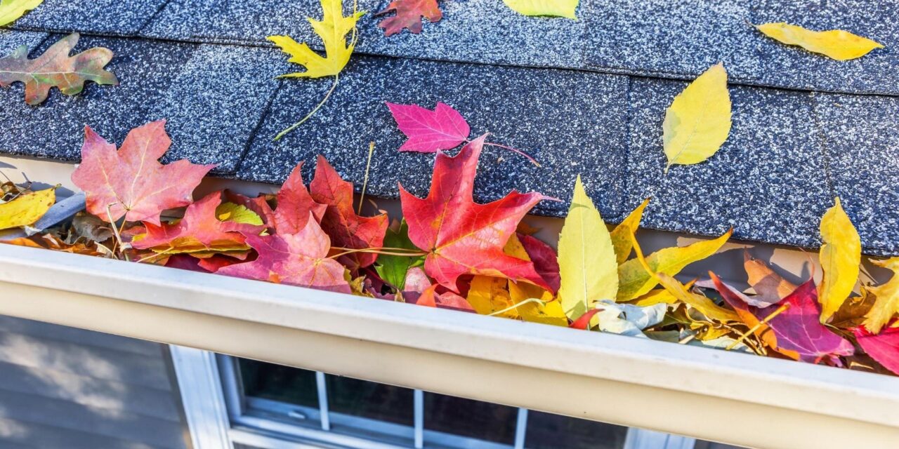 https://almarllc.com/wp-content/uploads/2020/08/Roof-in-Fall-with-Leaves-1280x640.jpg