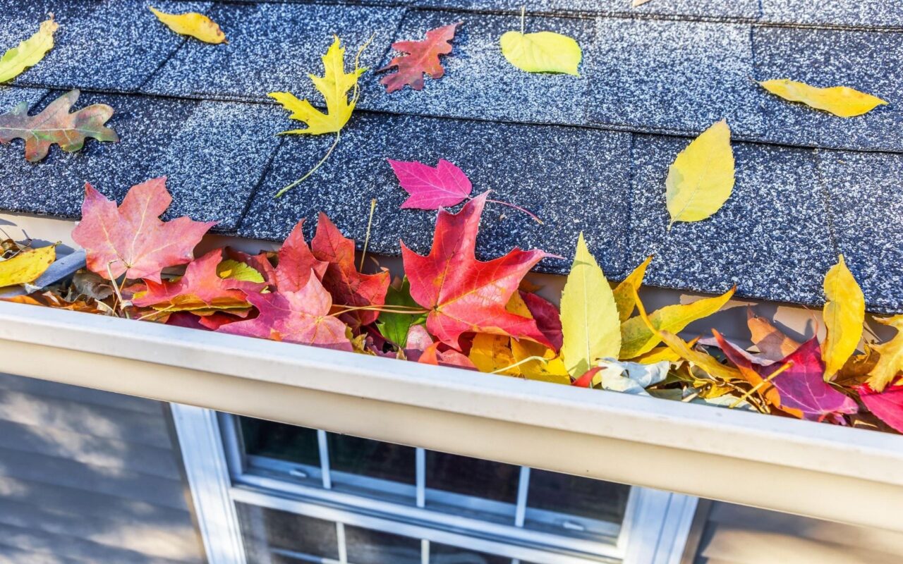 https://almarllc.com/wp-content/uploads/2020/08/Roof-in-Fall-with-Leaves-1280x800.jpg