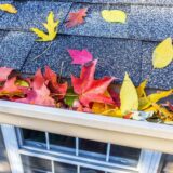 New England Rooftop With Leaves